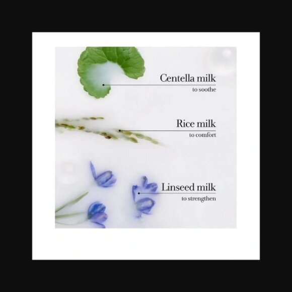 Fresh Milk Body Lotion Plant based milks TWO 2.5oz bottles NEW sealed - Picture 3 of 4